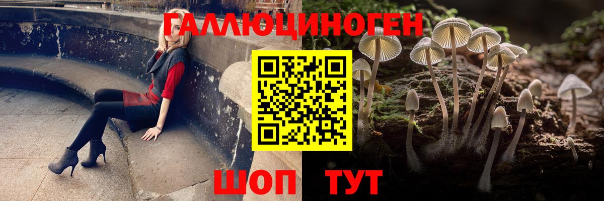 Галлюциногенные грибы GOLDEN TEACHER Дедовск